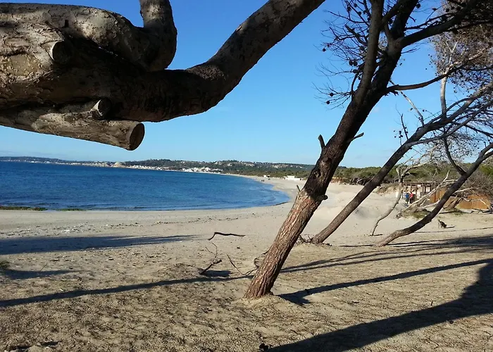 In Gallipoli Apartment *